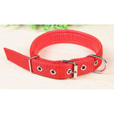 Wholesale Solid Color Pet Collar 25-inch - Assorted