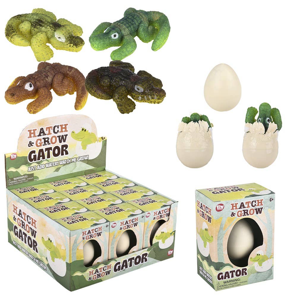 Buy Small Hatch And Grow Gator Egg in Bulk